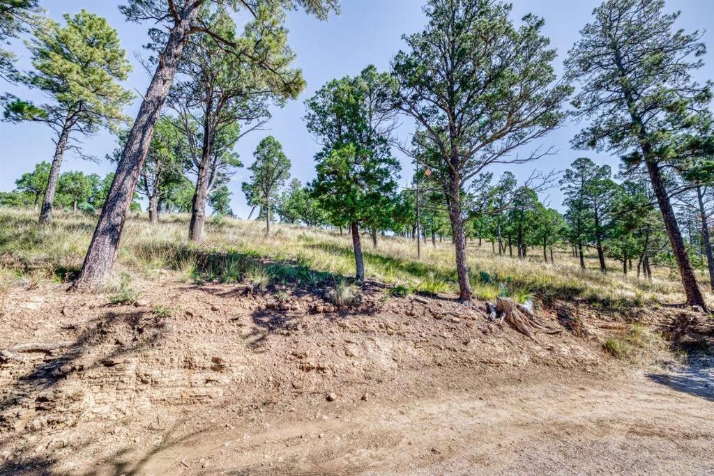 Perk Canyon Hidden Acres-Hot Tub-Gas Fireplace Ruidoso Zewnętrze zdjęcie